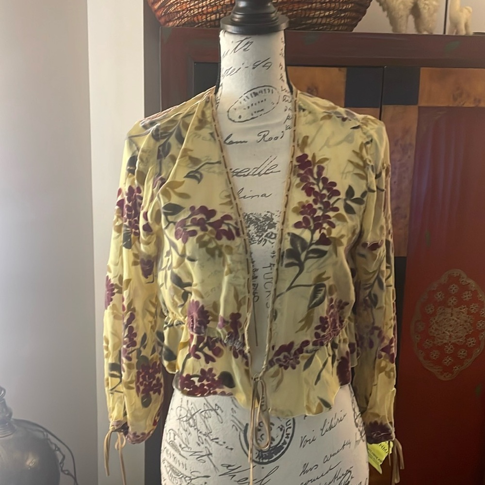🎉NWT Vintage Gorgeous Sheer silk & Velvet bell sleeve top shirt Size M / L